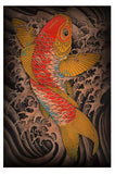 Koi
