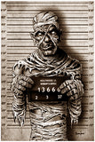 Mummy Mugshot