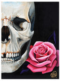 Rose and Skull