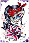 Star Gazer